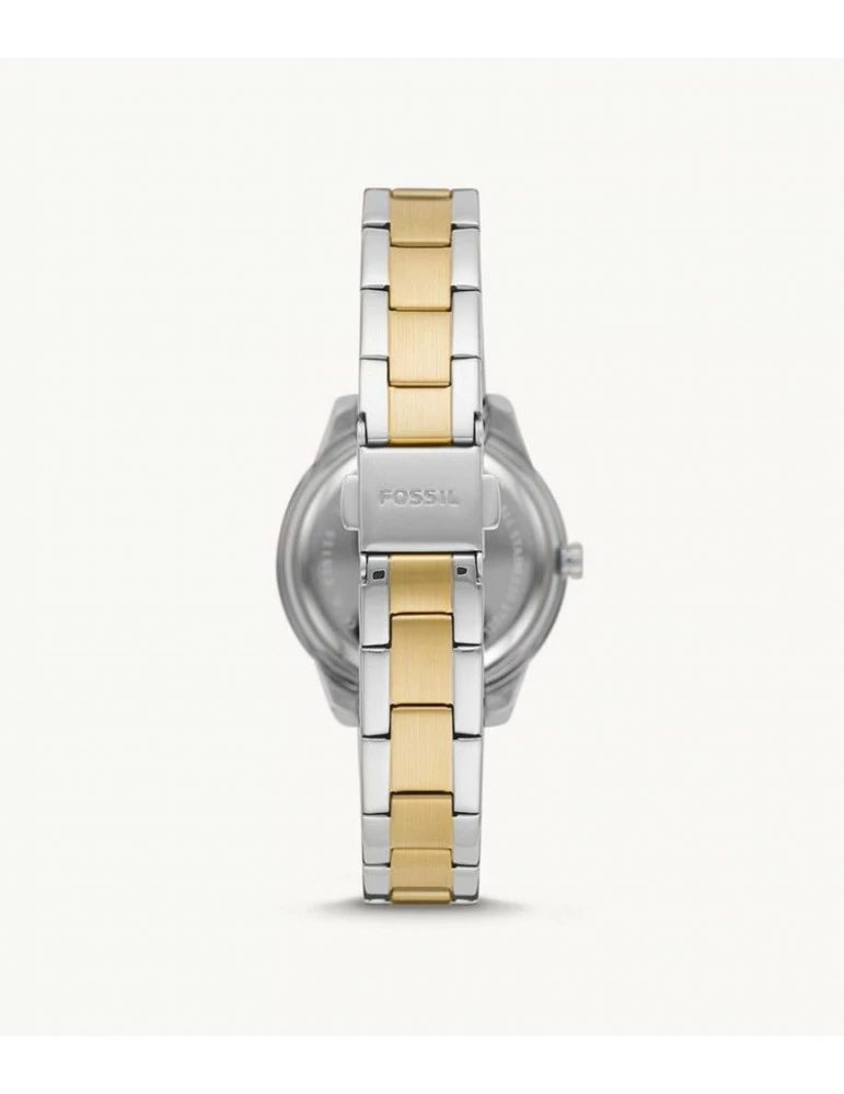 FOSSIL Stella – Image 3