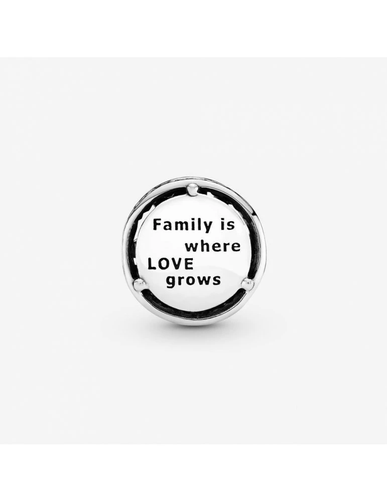 PANDORA Charm Racines Familiales Ajouré – Image 2