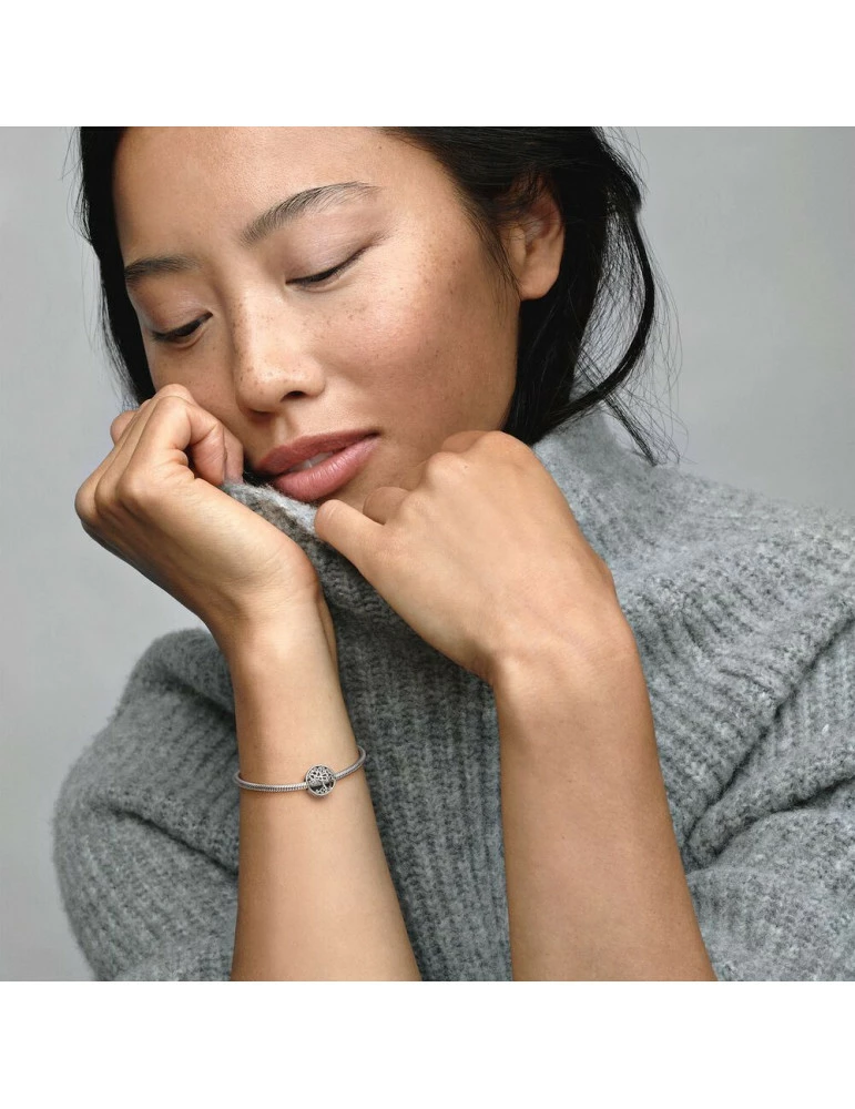 PANDORA Charm Racines Familiales Ajouré – Image 3